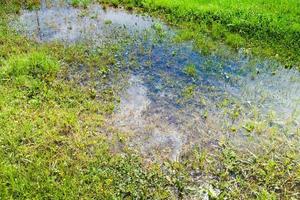 puddle reflected white cloud photo