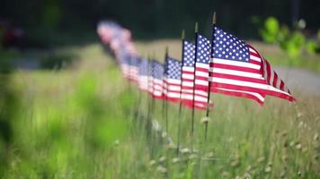 lange Reihe amerikanischer Flaggen am Zaun wehen im Wind. video