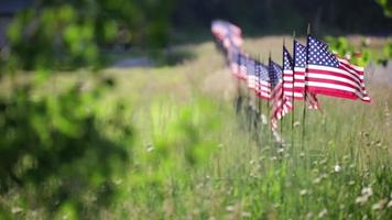 fila de banderas americanas en la valla ondeando en el viento video