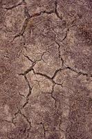 dry desert soil, climate change, global warming photo