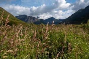 Nature landscape in Alaska photo