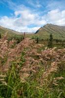 Nature landscape in Alaska photo