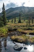 Nature landscape in Alaska photo