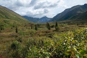 paisaje natural en alaska foto