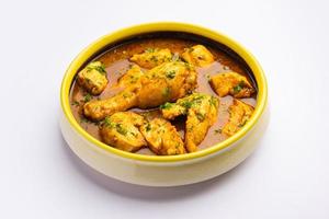 Red Chicken Curry or murgh Masala or korma with prominent Leg Piece photo