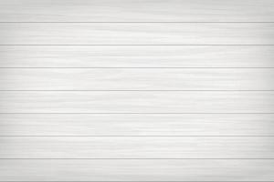 White wood pattern and texture for background. Vector. vector