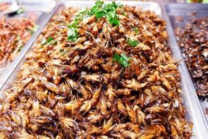 Seasoned Fried Insects Street food is very popular in Thailand. photo