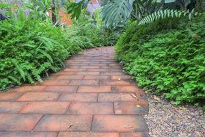 A walkway in the garden with red brick floors. Along the way planted a small tree. photo