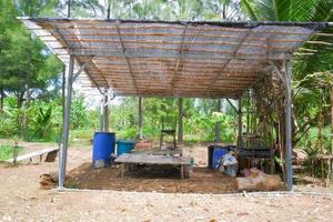 A farmer's nursery with only bamboo to sit and work. photo