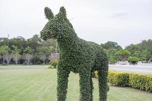 The ivy is trimmed into the shape of a horse. photo