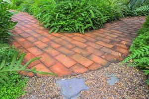 A walkway in the garden with red brick floors. Along the way planted a small tree. photo