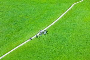 Walking footpath in green field photo