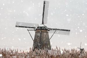 molinos de viento en kinderdijk, los países bajos en invierno foto