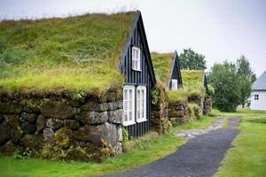 Overgrown Typical Rural Icelandic house at overcast day photo