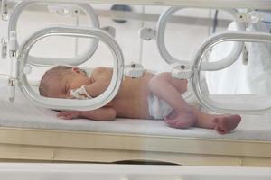 A premature newborn in a special incubator in the children's department of the hospital. photo