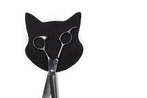 gato negro de papel artesanal. cabeza de gato creativa y tijeras. proyecto de arte infantil, manualidades para niños.