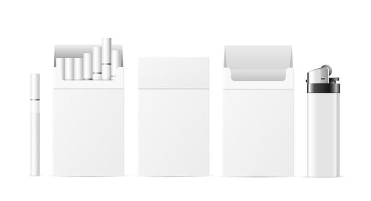 Realistic Detailed 3d Cigarette Pack Blank White with Pocket Lighter Set. Vector