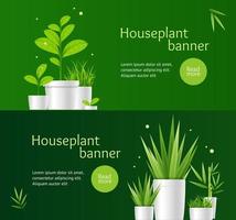 Realistic Detailed 3d Houseplant Banner Horizontal Set. Vector