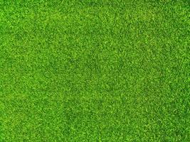 fondo de textura de hierba verde concepto de jardín de hierba utilizado para hacer campo de fútbol de fondo verde, golf de hierba, fondo de textura de patrón de césped verde. foto