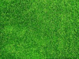 Green grass texture background grass garden concept used for making green background football pitch, Grass Golf, green lawn pattern textured background. photo