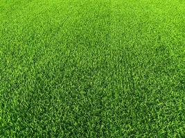 Green grass texture background grass garden concept used for making green background football pitch, Grass Golf, green lawn pattern textured background. photo