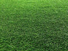 Green grass texture background grass garden  concept used for making green background football pitch, Grass Golf,  green lawn pattern textured background. photo