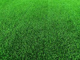 Green grass texture background grass garden concept used for making green background football pitch, Grass Golf, green lawn pattern textured background. photo