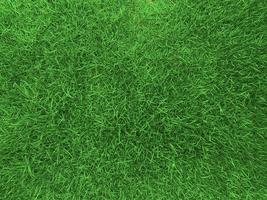 Green grass texture background grass garden  concept used for making green background football pitch, Grass Golf,  green lawn pattern textured background. photo