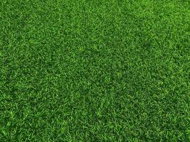 Green grass texture background grass garden  concept used for making green background football pitch, Grass Golf,  green lawn pattern textured background. photo