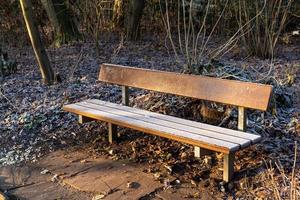 bench in the park ion cold winter photo