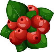 Bunch of cartoon red berries with leaves, bouquet of isolated berries vector