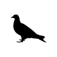 Bird silhouette vector design