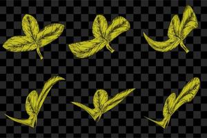 Vector set of the maple, oak, rowan and chokeberry yellow leaves isolated