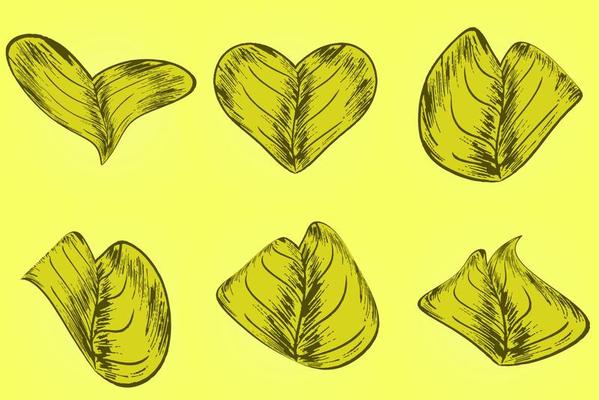 Heartstopper Leaves Vector Art Icons and Graphics for Free Download