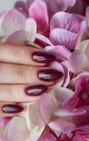 manos de una mujer joven con manicura roja oscura en las uñas foto