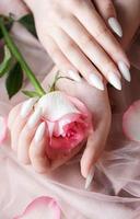 Hands of a young woman with white manicure on nails photo