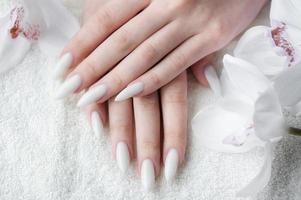 Hands of a young woman with white manicure on nails photo