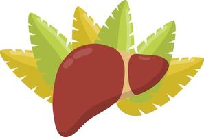 Healthy liver. Red internal human organ. Medicine and analysis. Cartoon flat illustration. Green leaves of plant vector