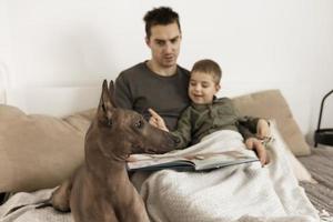 Dog as family member. Mexican hairless, xoloitzquintle. Adult dog on the bed at home, with man and little boy. Natural earth colors. Cozy environment. Father reads book, fairy tale for his child. photo