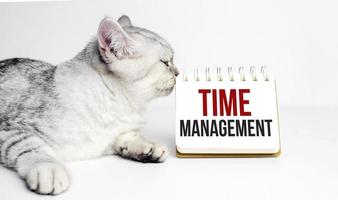 word time management and grey cat with white notebook photo