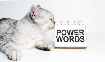 power words and grey cat with white notebook photo