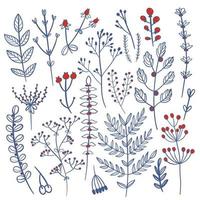 Wild flowers set. Floral herbal plants with blue blooms. vector