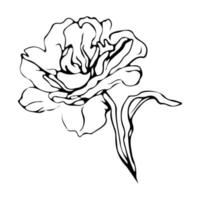 dibujo de una línea de flores. estilo minimalista floral. símbolo de la naturaleza. impresión botánica. arte de línea continua. estampado de flores. dibujo botánico minimalista. pasos vectoriales 10. vector