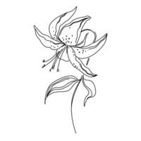 Flower One Line Drawing. Floral Minimalistic Style. Nature Symbol. Botanical Print. Continuous Line Art. Flowers Print. Minimalist Botanical Drawing. Vector EPS 10.