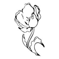 dibujo de una línea de flores. estilo minimalista floral. símbolo de la naturaleza. impresión botánica. arte de línea continua. estampado de flores. dibujo botánico minimalista. pasos vectoriales 10. vector