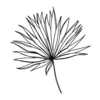 dibujo de una línea de flores. estilo minimalista floral. símbolo de la naturaleza. impresión botánica. arte de línea continua. estampado de flores. dibujo botánico minimalista. pasos vectoriales 10. vector