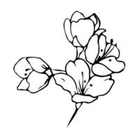 dibujo de una línea de flores. estilo minimalista floral. símbolo de la naturaleza. impresión botánica. arte de línea continua. estampado de flores. dibujo botánico minimalista. pasos vectoriales 10. vector