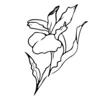 Flower One Line Drawing. Floral Minimalistic Style. Nature Symbol. Botanical Print. Continuous Line Art. Flowers Print. Minimalist Botanical Drawing. Vector EPS 10.