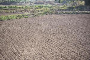 fila en un campo de arado preparado para plantar cultivos en primavera - campo arado con camión en el campo agrícola foto