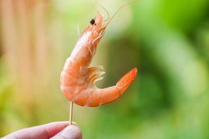 Shrimp skewers in hand and nature background - Seafood shelfish shrimps prawns photo